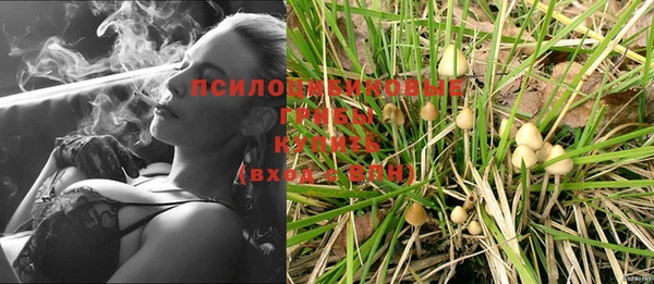 MDMA Premium VHQ Нязепетровск