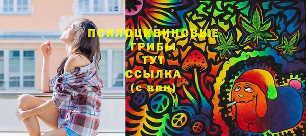 герыч Новокубанск
