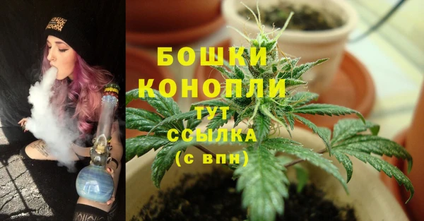 apvp Новодвинск