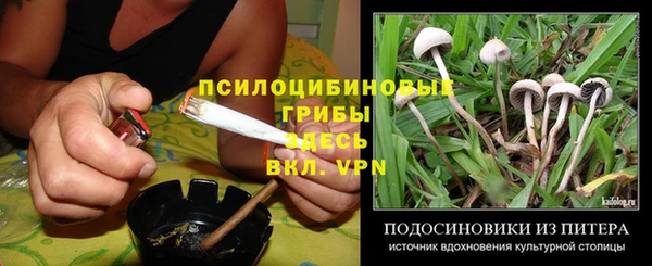 apvp Новодвинск