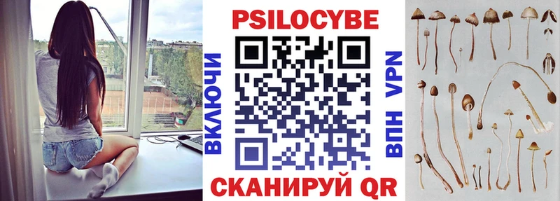 Псилоцибиновые грибы мухоморы Шелехов